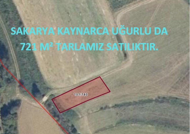 SAKARYA KAYNARCA UĞURLU DA 721 M² TARLAMIZ SATILIKTIR. - SAKARYA KAYNARCA fotoğraf 3